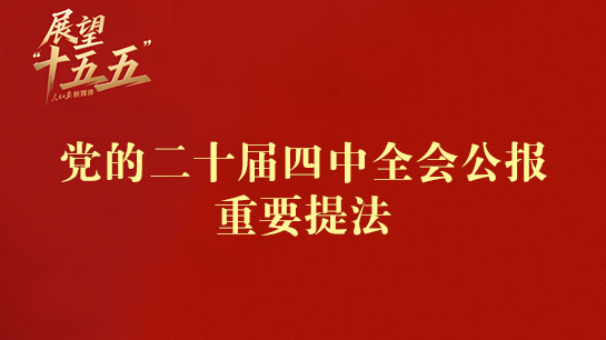 党的二十届四中全会公报重要提法.jpg
