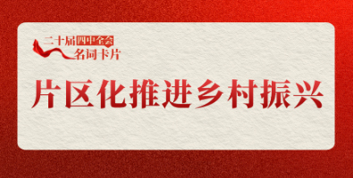 片区化推进乡村振兴.jpg