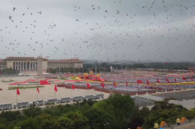 七一，他的鸽子飞翔在天安门广场