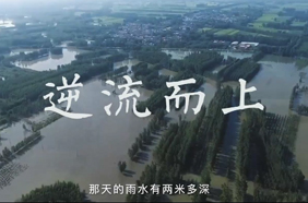 致敬！每一个在灾难面前逆流而上的人