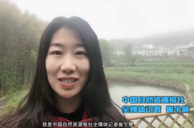 大湾村的“旅游饭”越吃越香！