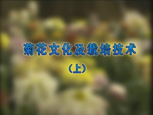 ���Ƽ����񾩽�ũ��Ů���̡�֮���ջ��Ļ������༼��������