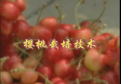 ���Ƽ����񾩽�ũ��Ů���̡�֮��ӣ�����༼��������